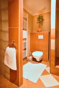 a bathroom with a toilet and a towel at Pension Aqualand in Poprad