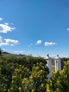 a view from the garden of a house with yellow flowers at Borgo Piani - Camere di Charme in Mango