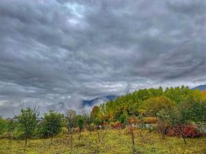 ein Feld mit Bäumen und einem wolkigen Himmel in der Unterkunft Gudauri Deka House in Gudauri