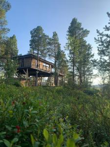 a large wooden house in the middle of a forest at Jutulhytta 