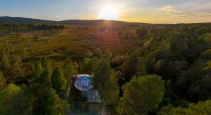 una vista aerea di una casa in mezzo a una foresta di Jutulhytta a Litle Løkken Altre 4 foto