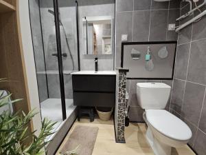 ein Bad mit einem WC, einem Waschbecken und einer Dusche in der Unterkunft Adam & Eve in Paladru