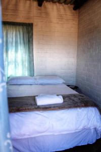 1 dormitorio con 2 camas y ventana en Valor Wellness Retreat, en Windhoek
