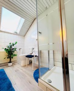アンダーナッハにあるFeWo Ferberのバスルーム(シャワー、トイレ付)