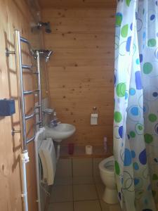 a bathroom with a toilet and a sink at Cabanuta Dan & Alex in Cîrţişoara