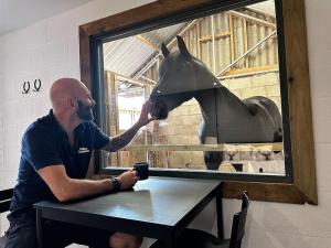 Gosti koji borave u objektu Sleep next to a Horse in a stable by the city !