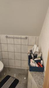 La salle de bains est pourvue de toilettes et d'une étagère avec des articles de toilette. dans l'établissement Kleine gemütliche Wohnung, à Zwickau