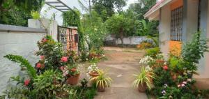 a garden with flowers and plants in a yard at Athichans Homestay in Kuzhittura