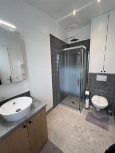 a bathroom with a sink and a shower and a toilet at Studio in Vitry-sur-Seine