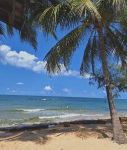 una palma sulla spiaggia con persone nell'oceano di Ancarine Beach Resort a Phu Quoc