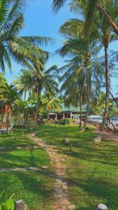 a dirt road in a field with palm trees at Ancarine Beach Resort in Phu Quoc