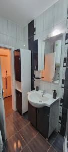 un bagno con un lavandino bianco e uno specchio di HIT Apartman a Paraćin