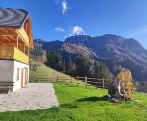 a house in a field with mountains in the background at Cottage Osojnik - Alpine escape with Wellness in Solčava