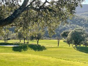 un champ vert avec des arbres et un trou de golf dans l'établissement Villa la Provençale, à Roquebrune-sur Argens