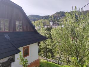 Príroda v okolí horskej chaty + 11 fotografií
