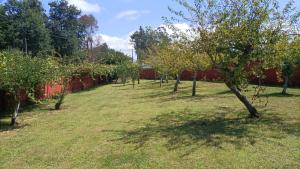 a row of trees in a field next to a fence at Casa de campo tranquila en vilar cerca de santiago in Touro