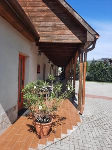 patio z drewnianym dachem i doniczką w obiekcie Nosztalgia Vendégház w Bogácsu