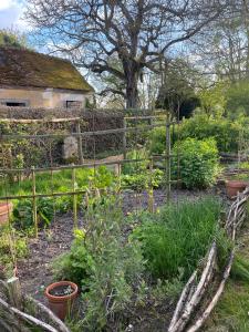 Dancé的住宿－Le Manoir du Plessis，花园,带围栏和一些植物