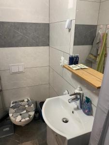 a bathroom with a sink and a toilet at Apartment Gajsek in Zavrč