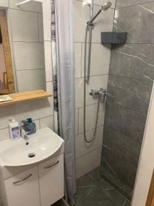 a bathroom with a shower and a sink at Apartment Gajsek in Zavrč