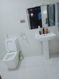 uma casa de banho branca com um WC e um lavatório em Dixonlux Apartments em Abuja