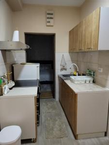 eine Küche mit einer Spüle und einer Arbeitsplatte in der Unterkunft Apartman Tina in Sokobanja