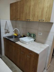 eine Küche mit einer Spüle und einer Arbeitsplatte in der Unterkunft Apartman Tina in Sokobanja