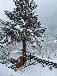 B&B La Soldanella during the winter
