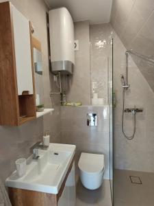 uma casa de banho com um WC, um lavatório e um chuveiro em Apartmani Jezero Divčibare em Divčibare