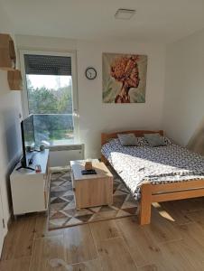 um quarto com uma cama, uma secretária e uma janela em Apartmani Jezero Divčibare em Divčibare