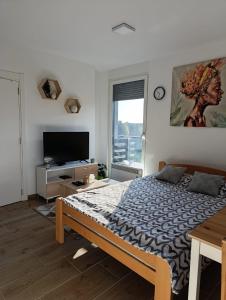 um quarto com uma cama e uma televisão de ecrã plano em Apartmani Jezero Divčibare em Divčibare