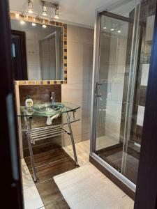 ein Badezimmer mit einem Glaswaschbecken und einer Dusche in der Unterkunft Apartamenty U Anki in Zakopane