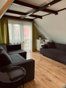 ein Wohnzimmer mit einem Sofa und einem Stuhl in der Unterkunft Apartamenty U Anki in Zakopane