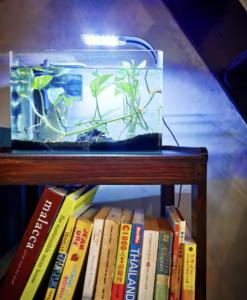 a shelf with a fish tank on top of books at LEJU 8 樂居 Loft living with open air bathroom in Melaka