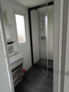 La salle de bains est pourvue d'une douche, d'un lavabo et d'un miroir. dans l'établissement Mobilhome Indien, à Oye-Plage