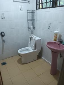 ein Bad mit einem WC und einem Waschbecken in der Unterkunft Bintulu AirBnB Homestay in Bintulu