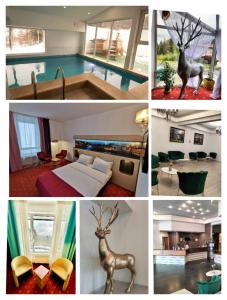 a collage of pictures of a hotel room at Atrium Panoramic Hotel & Spa in Predeal