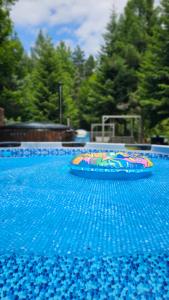 a blue swimming pool with a colorful raft on it at Wilkovo Roztocze in Hutków