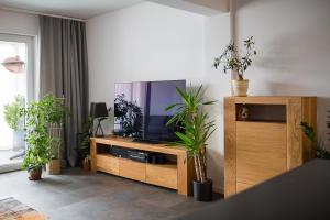 a living room with a tv and potted plants at Kościuszki 19 in Lesko