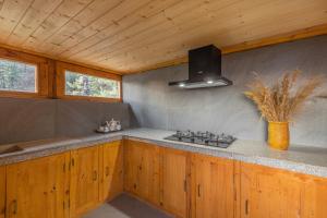 uma cozinha com armários de madeira e um forno com placa de fogão em Elivaas Everly Luxury 1BHK Entire Home in Narkanda em Shimla
