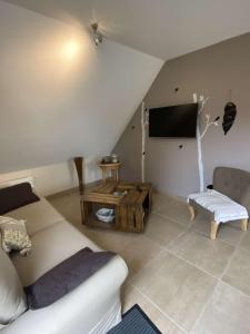 TV a/nebo společenská místnost v ubytování B&B Chez Séverine + 37 fotografií