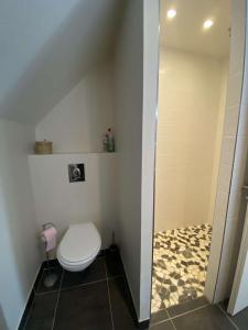 a bathroom with a toilet and a shower at B&B Chez Séverine in Lamotte-Beuvron +45 photos
