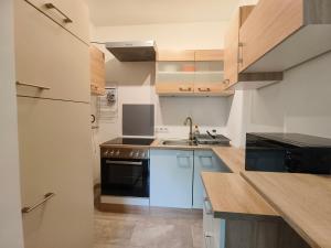 a kitchen with a sink and a refrigerator at City rooms in Kapfenberg