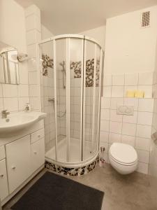 uma casa de banho com um chuveiro, um WC e um lavatório. em City rooms em Kapfenberg