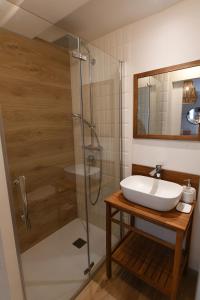 y baño con lavabo y ducha. en Suran - 2 pers-wifi-confort, en Oyonnax