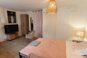 1 dormitorio con 1 cama y TV en Suran - 2 pers-wifi-confort, en Oyonnax