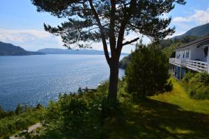 a house with a tree next to a body of water at Langenuen Motel & Camping in Stord