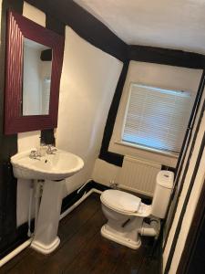 a bathroom with a sink and a toilet and a mirror at The Kentford in Kentford