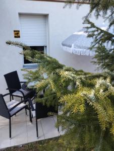 Fotografie z fotogalerie ubytování Apartman Šumski San v destinaci Divčibare