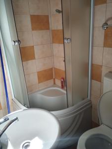 Koupelna v ubytování Apartman Šumski San